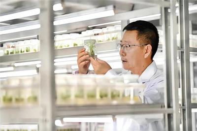 灃西新城加快“科學家+工程師”隊伍建設，為農業科學研究和試驗發展注入新活力