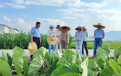 桂林市農業科學研究中心赴賀州市農業科學院開展農業科研與試驗發展調研交流