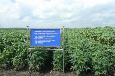 廣東省加大國家農業科研項目扶持力度，推動農業科技發展