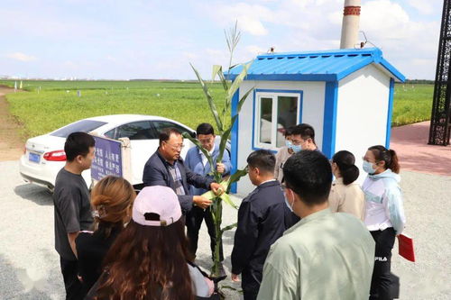 走進(jìn)中國(guó)農(nóng)業(yè)科學(xué)院北方大豆研究中心試驗(yàn)示范基地 青年大學(xué)習(xí)中的農(nóng)業(yè)科技力量