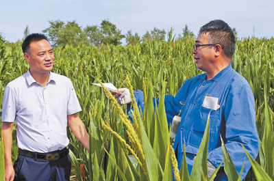 科技賦能特色農(nóng)業(yè) 繪就鄉(xiāng)村振興新畫(huà)卷
