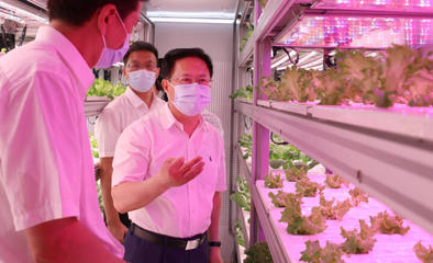 鄭柵潔調研省農科院 強化市場與效率意識，驅動農業科技創新新篇章