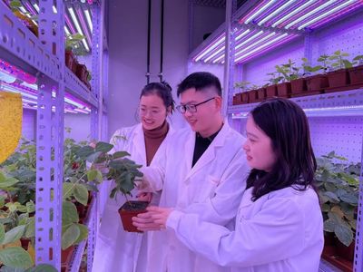 河南大學 聚焦農業科技創新，打造現代農業發展新高地